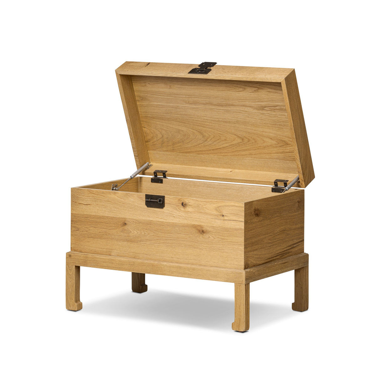 Alister Trunk in Light Toasted Oak from Four Hands - Luna Furniture