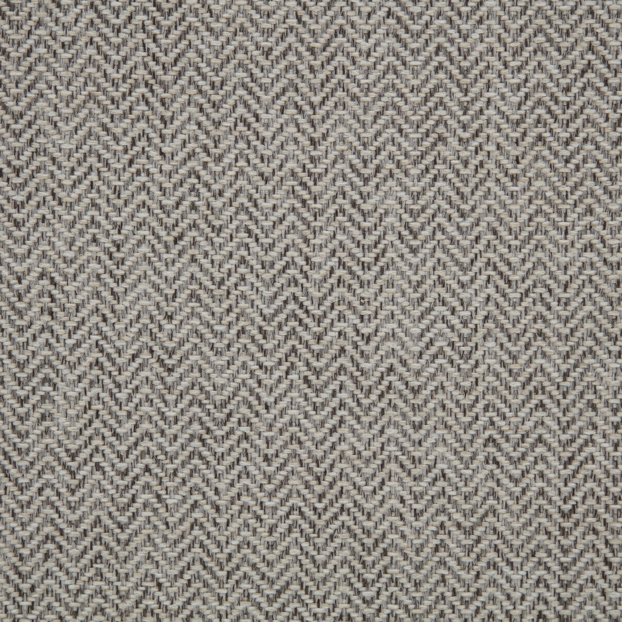 Dayes Taupe Upholstered Power Lift Recliner Chair from Coaster - Luna Furniture
