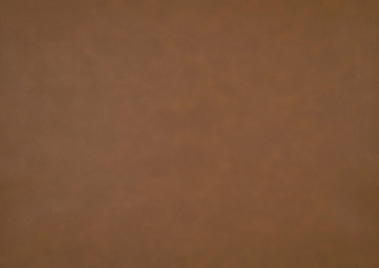 Carlton Camel Elegant Lounger from Homelegance - Luna Furniture