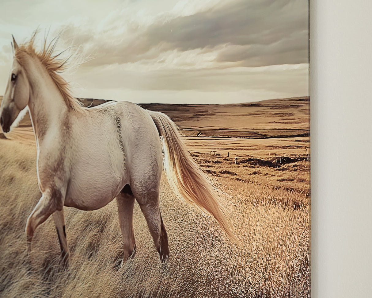 Errolville Multi Wall Art from Ashley - Luna Furniture