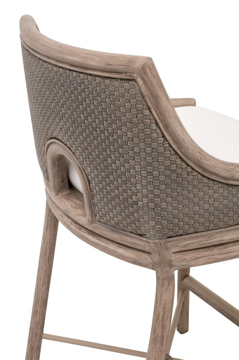 Adamo Counter Stool from Essentials For Living - Luna Furniture
