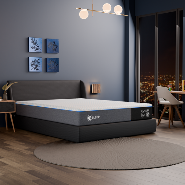 Bsleep Cooler 12ā Memory Foam King Mattress