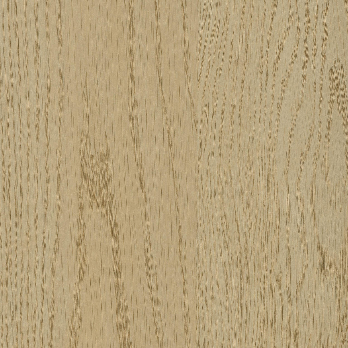 Canoga Light Oak Engineered Wood Lift Top Coffee Table from Coaster - Luna Furniture