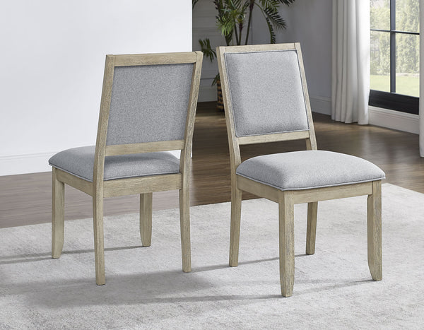Carena Gray Side Chair, Set of 2