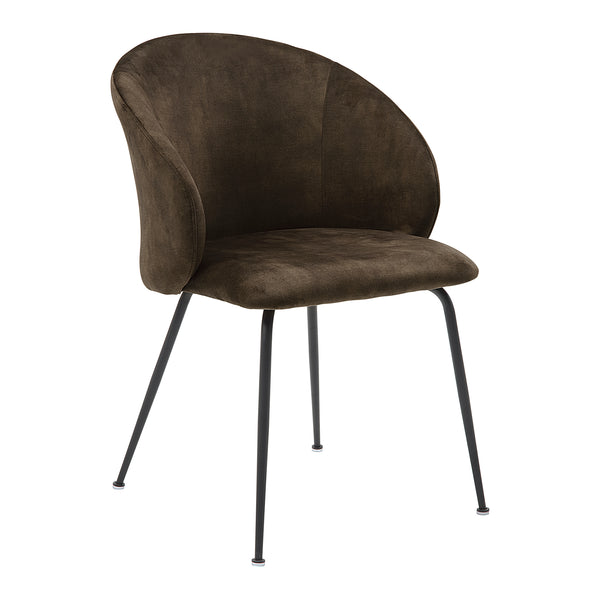Cosimo Brown Side Chair, Set of 2