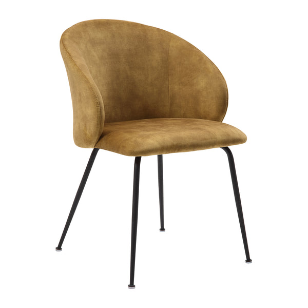 Cosimo Mustard Side Chair, Set of 2