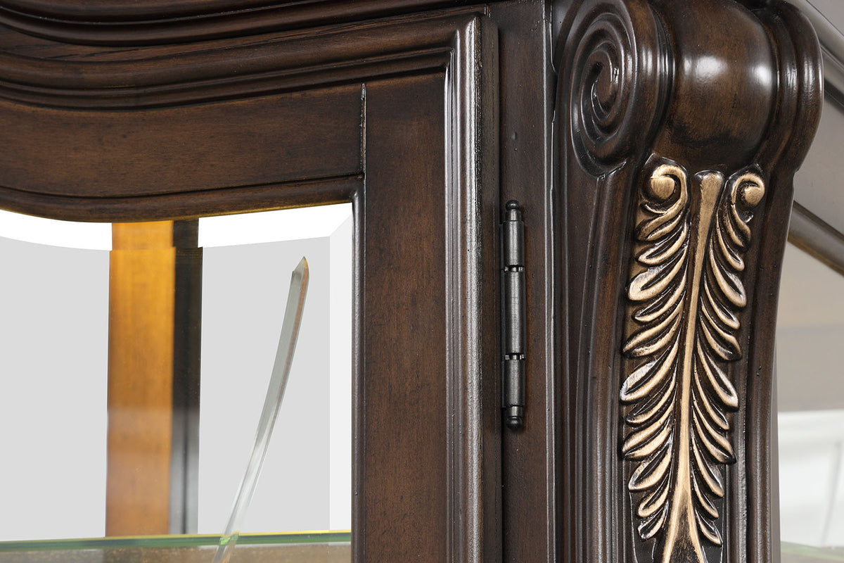 Leovanni Dark Brown Curio from Furniture of America - Luna Furniture