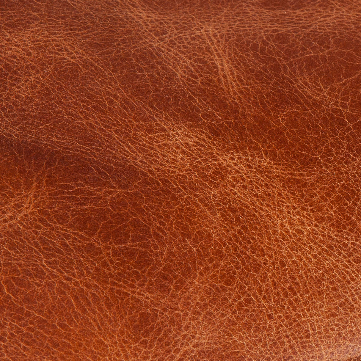 Portofino Modern 95" Sofa in Cocoa Brown Leather from Home Trends & Design - Luna Furniture
