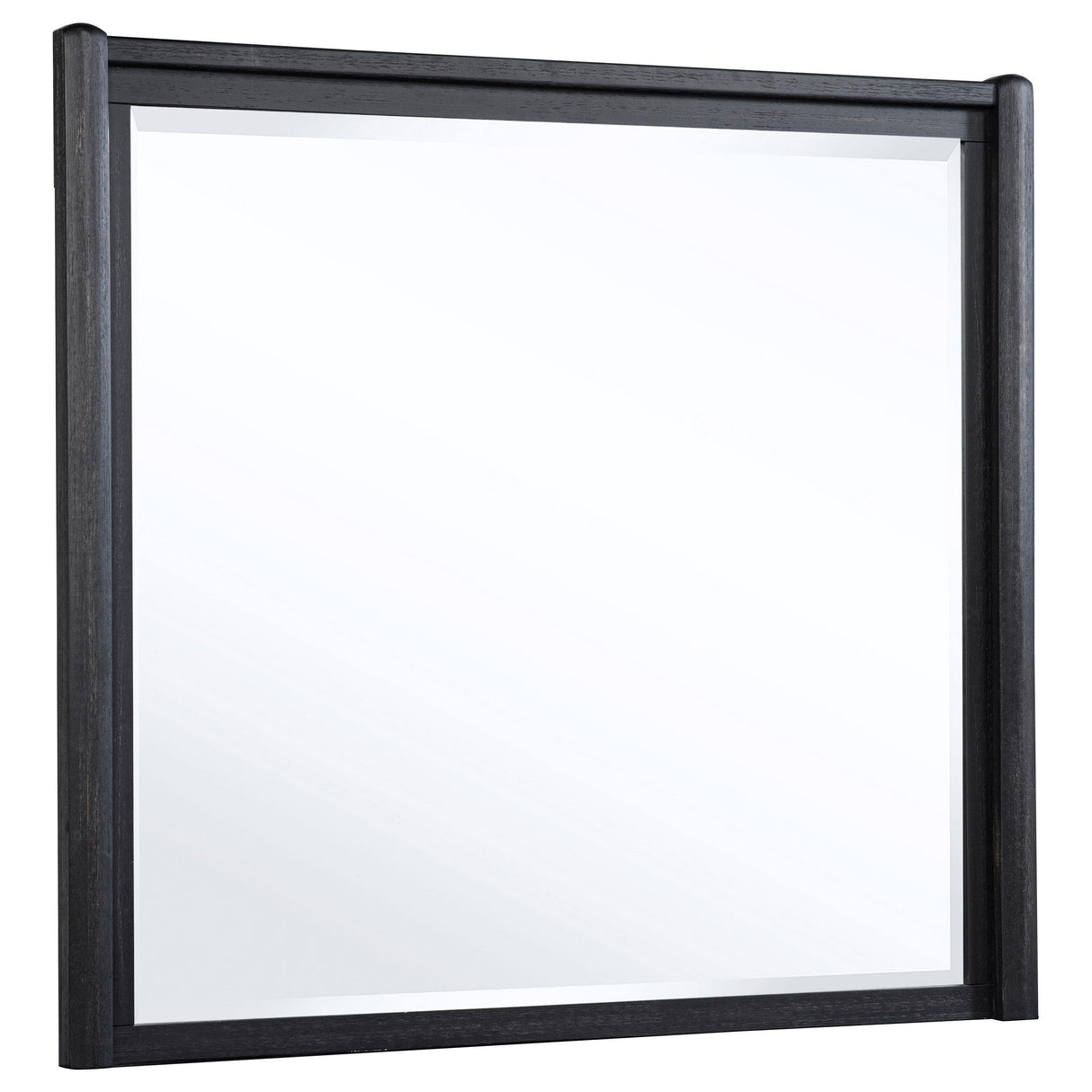 Leandro Burnished Black Dresser Mirror (Mirror Only) from Coaster - Luna Furniture