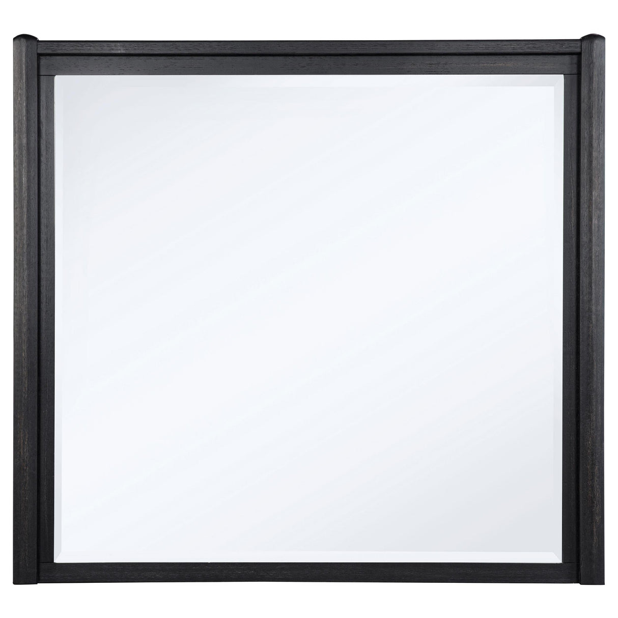 Leandro Burnished Black Dresser Mirror (Mirror Only) from Coaster - Luna Furniture