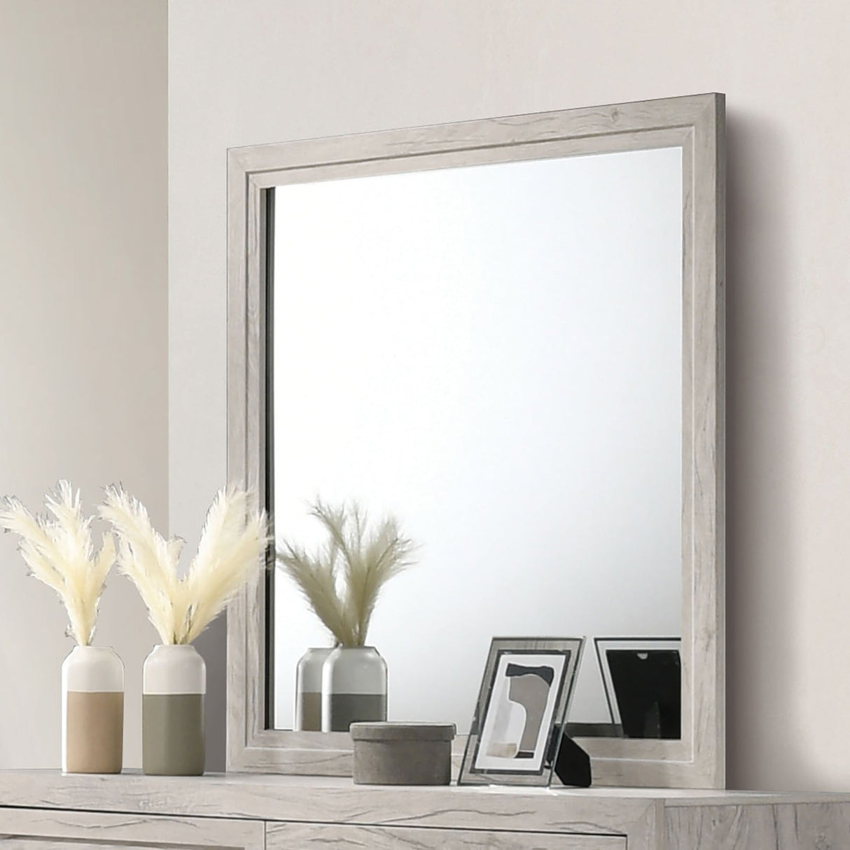 Mysen White Wash Mirror (Mirror Only) from Furniture of America - Luna Furniture