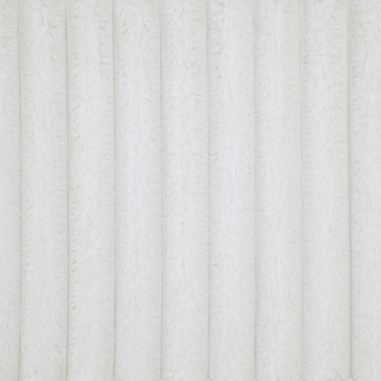 Natasha Cream 69-inch Upholstered California King Bed from Coaster - Luna Furniture