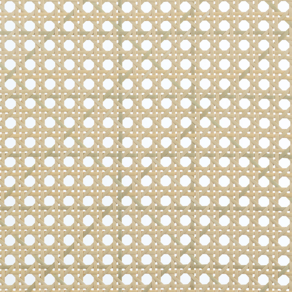 Rayo Black Rattan Cane Back Accent Chair with Padded Seat from Coaster - Luna Furniture