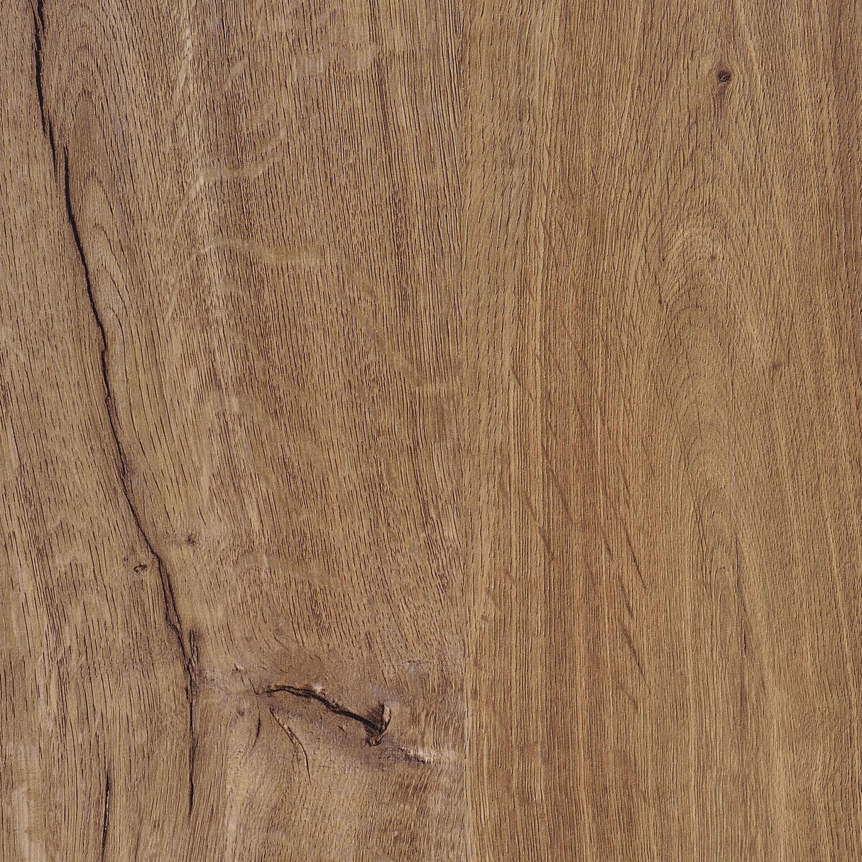 Teller Natural Oak 2-Door Shoe Storage Cabinet from Coaster - Luna Furniture