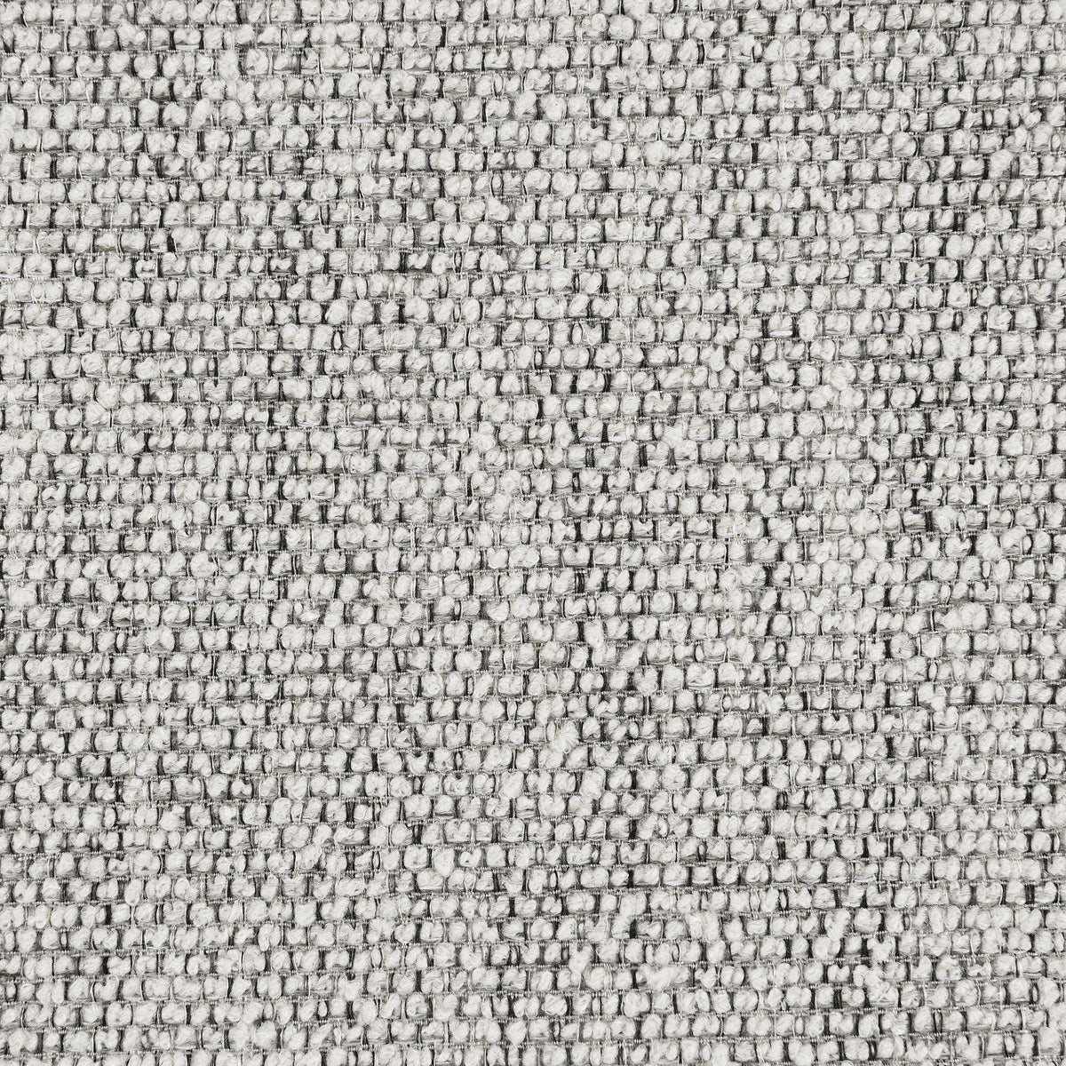 Tomkins Light Gray Boucle Upholstered Sofa from Coaster - Luna Furniture