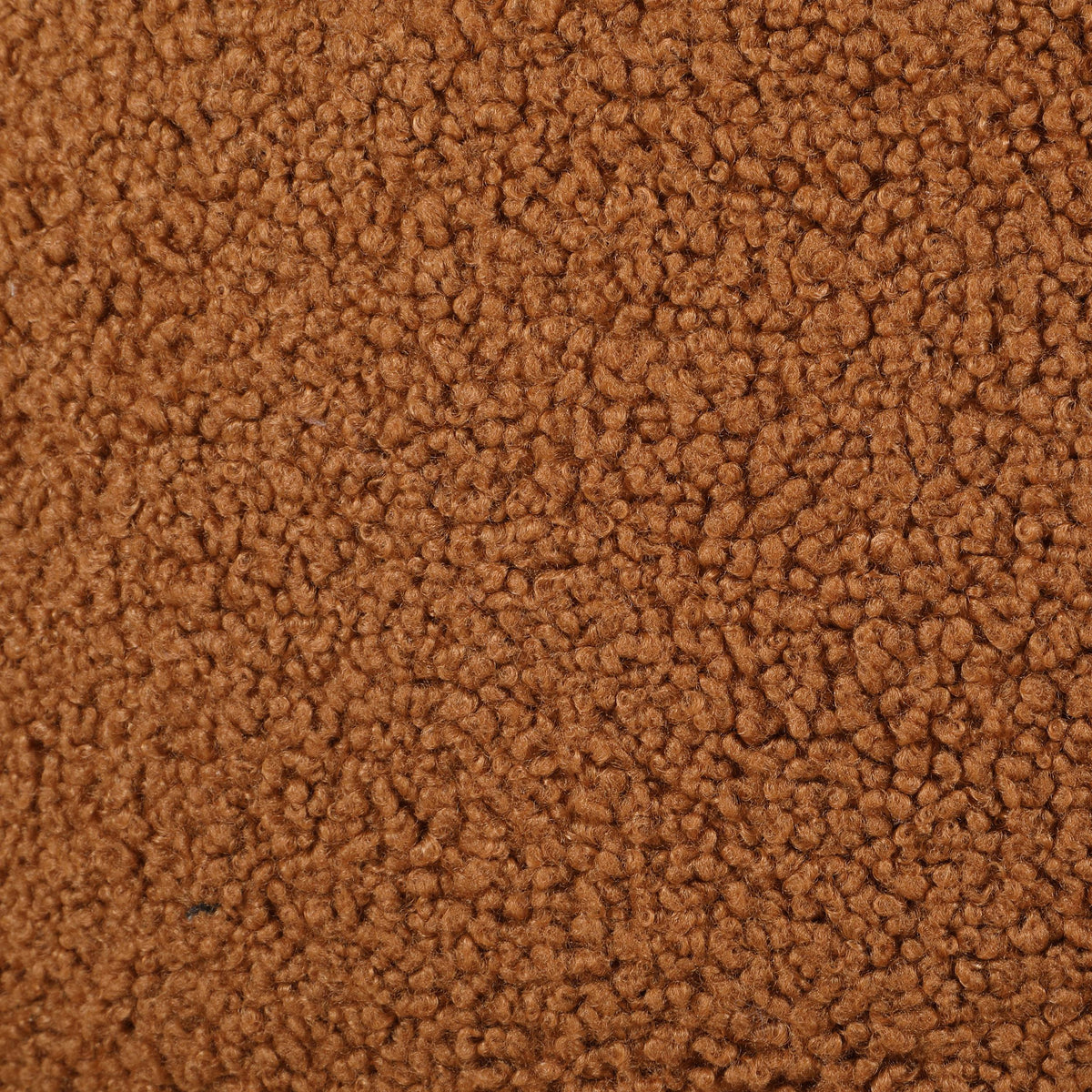 Zonie Orange Boucle Upholstered Barrel Back Accent Chair from Coaster - Luna Furniture
