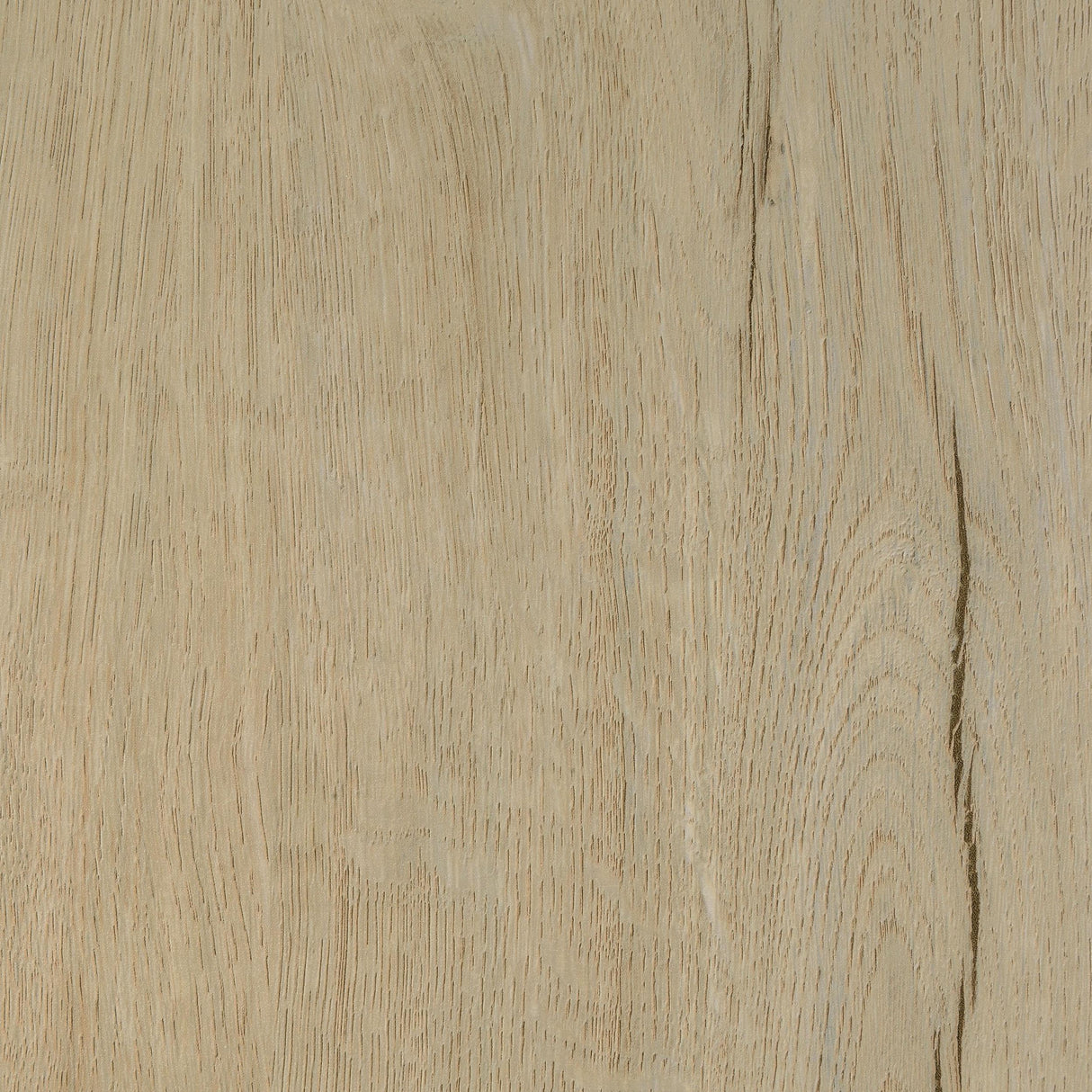 Arrington Storage Bench White Oak from Coaster - Luna Furniture