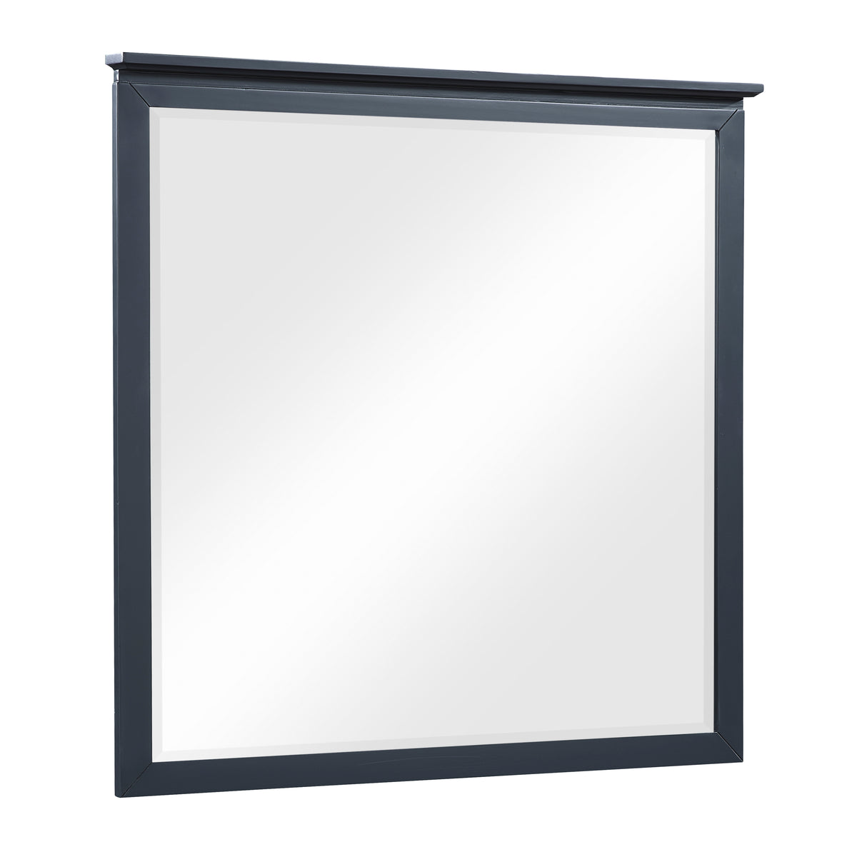 Sloane Navy Blue Mirror from Homelegance - Luna Furniture