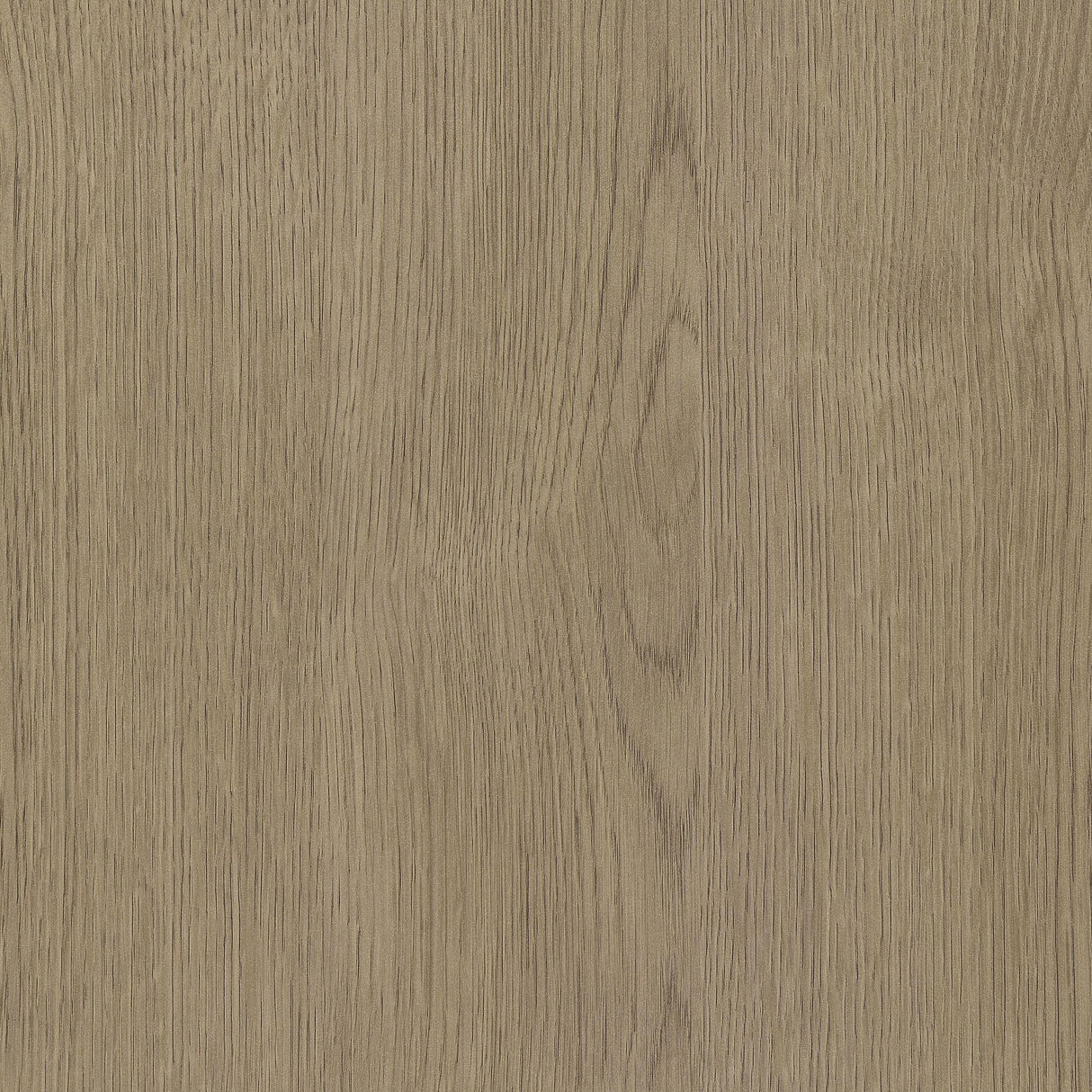 Devar Latte Square Engineered Wood Side End Table from Coaster - Luna Furniture