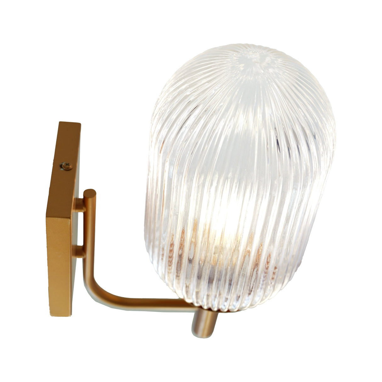 Dewdrop Wall Lamp - Bronze and Clear from Ashcroft Furniture - Luna Furniture