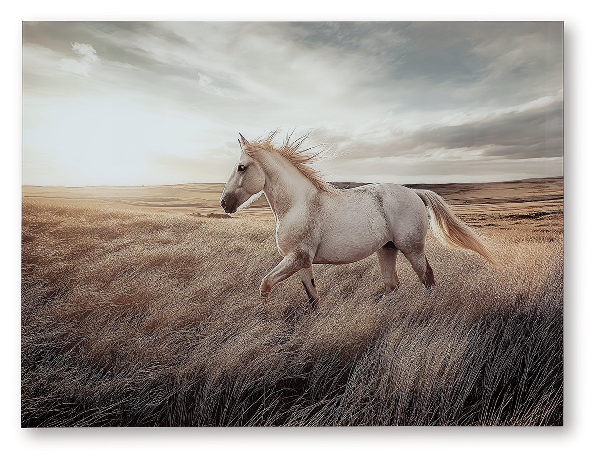 Errolville Multi Wall Art from Ashley - Luna Furniture