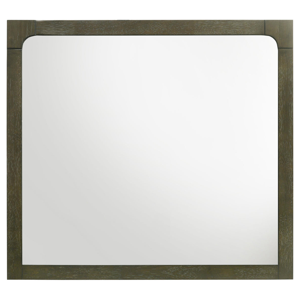 Gran Park Dark Cocoa Dresser Mirror (Mirror Only) from Coaster - Luna Furniture