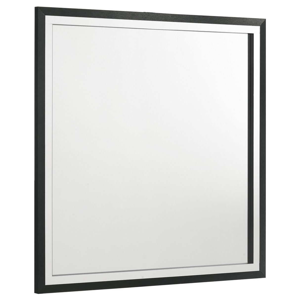 Lucia Black Dresser Mirror (Mirror Only) from Coaster - Luna Furniture