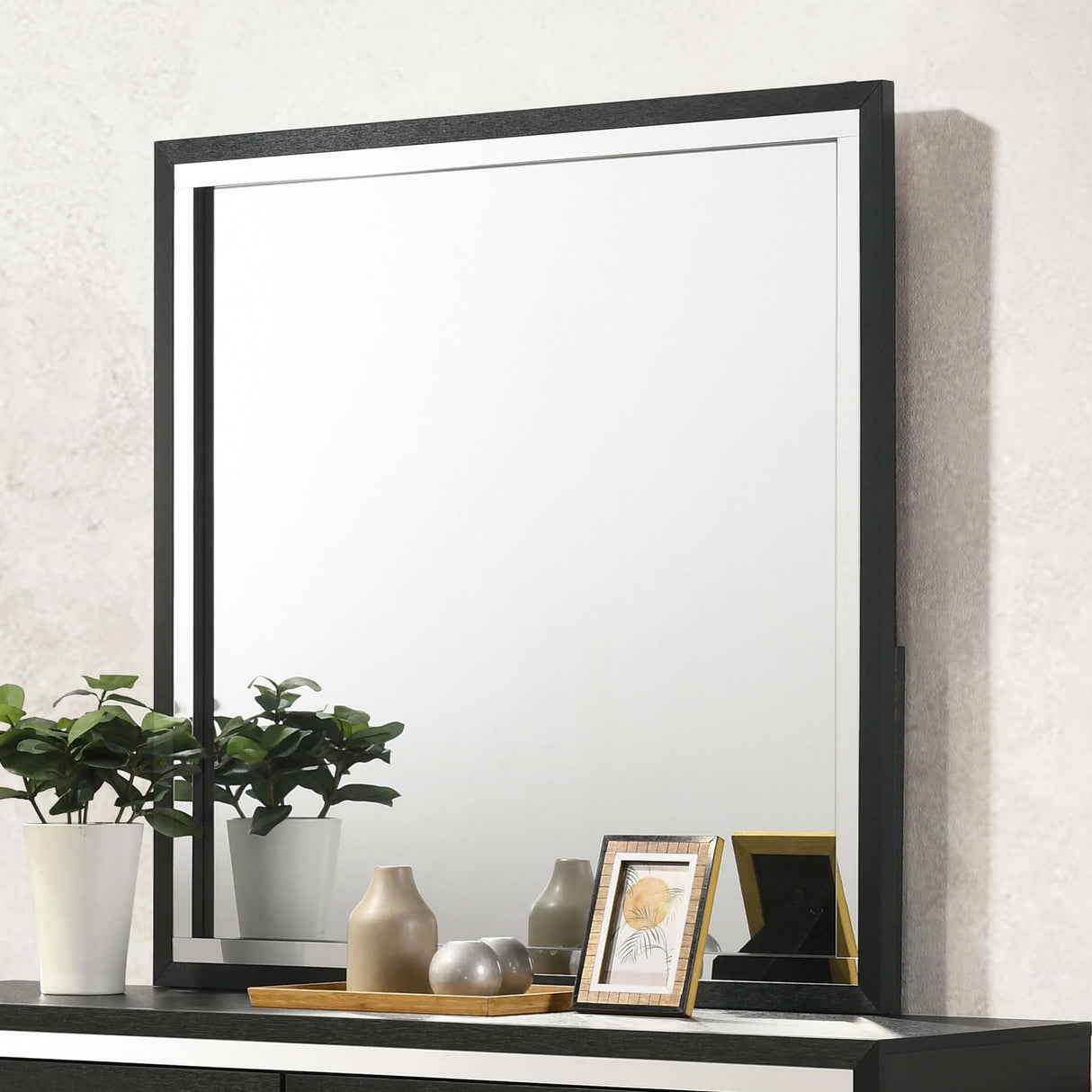 Lucia Black Dresser Mirror (Mirror Only) from Coaster - Luna Furniture
