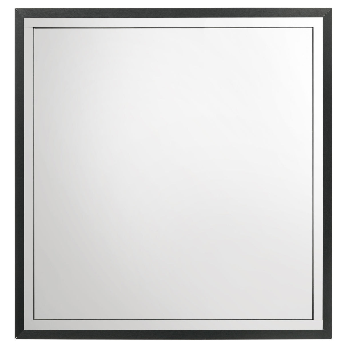 Lucia Black Dresser Mirror (Mirror Only) from Coaster - Luna Furniture