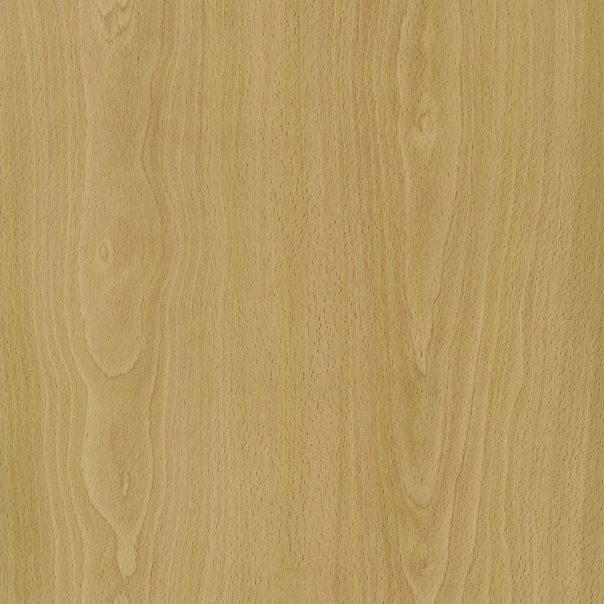 Mattison Natural 4-Panel Room Divider Folding Shoji Screen from Coaster - Luna Furniture