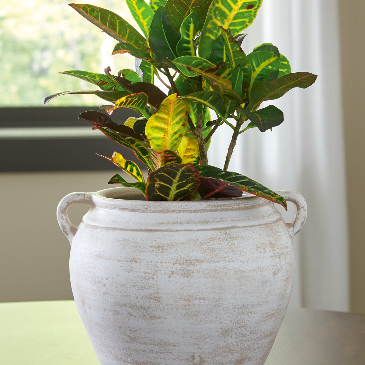 distressed vase with indoor plant Ashley Furniture Meadie Distressed White Vase – Luna Furniture