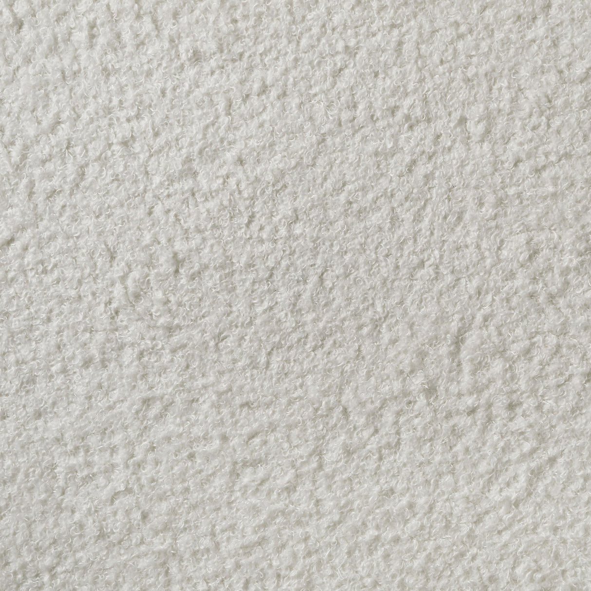 Miranda White 55-inch Upholstered California King Panel Bed from Coaster - Luna Furniture