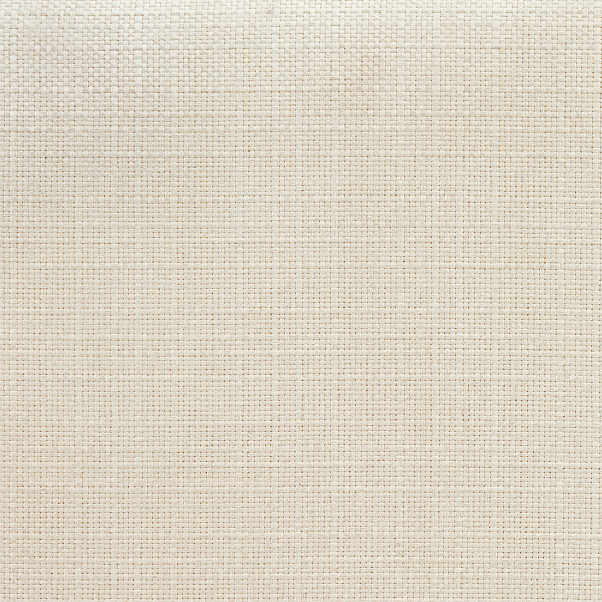 Palm Gate Cloud White Dining Arm Chair from Michael Amini - Luna Furniture