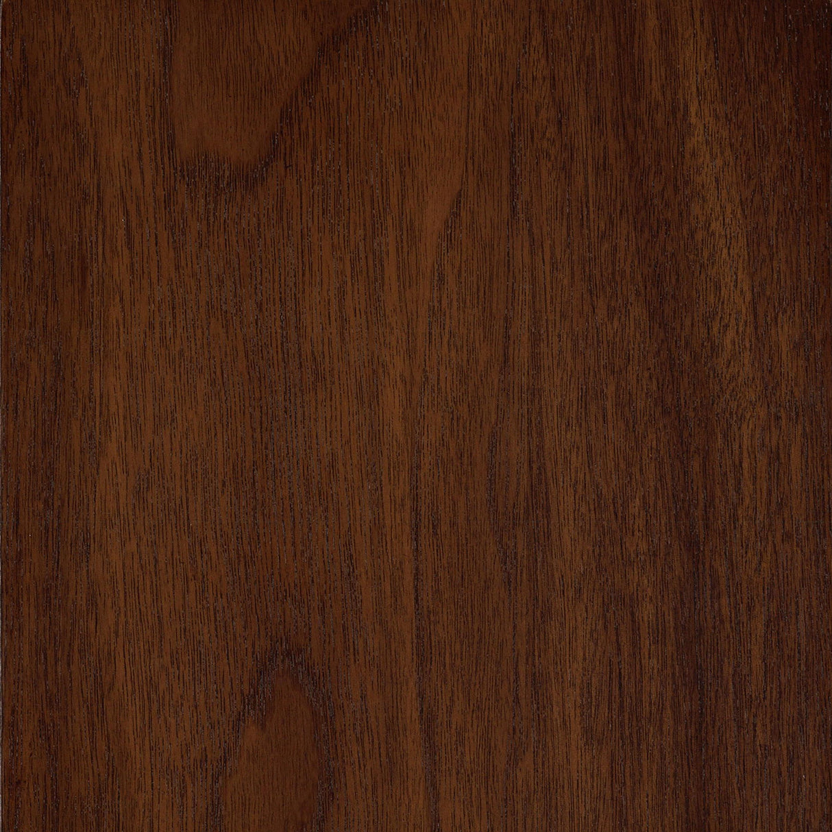 Patterson Mango Oak Upholstered Counter Chair, Set of 2 from Coaster - Luna Furniture