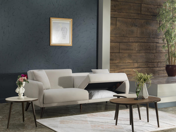 Flexy Zigana Beige Storage Sleeper Sofa