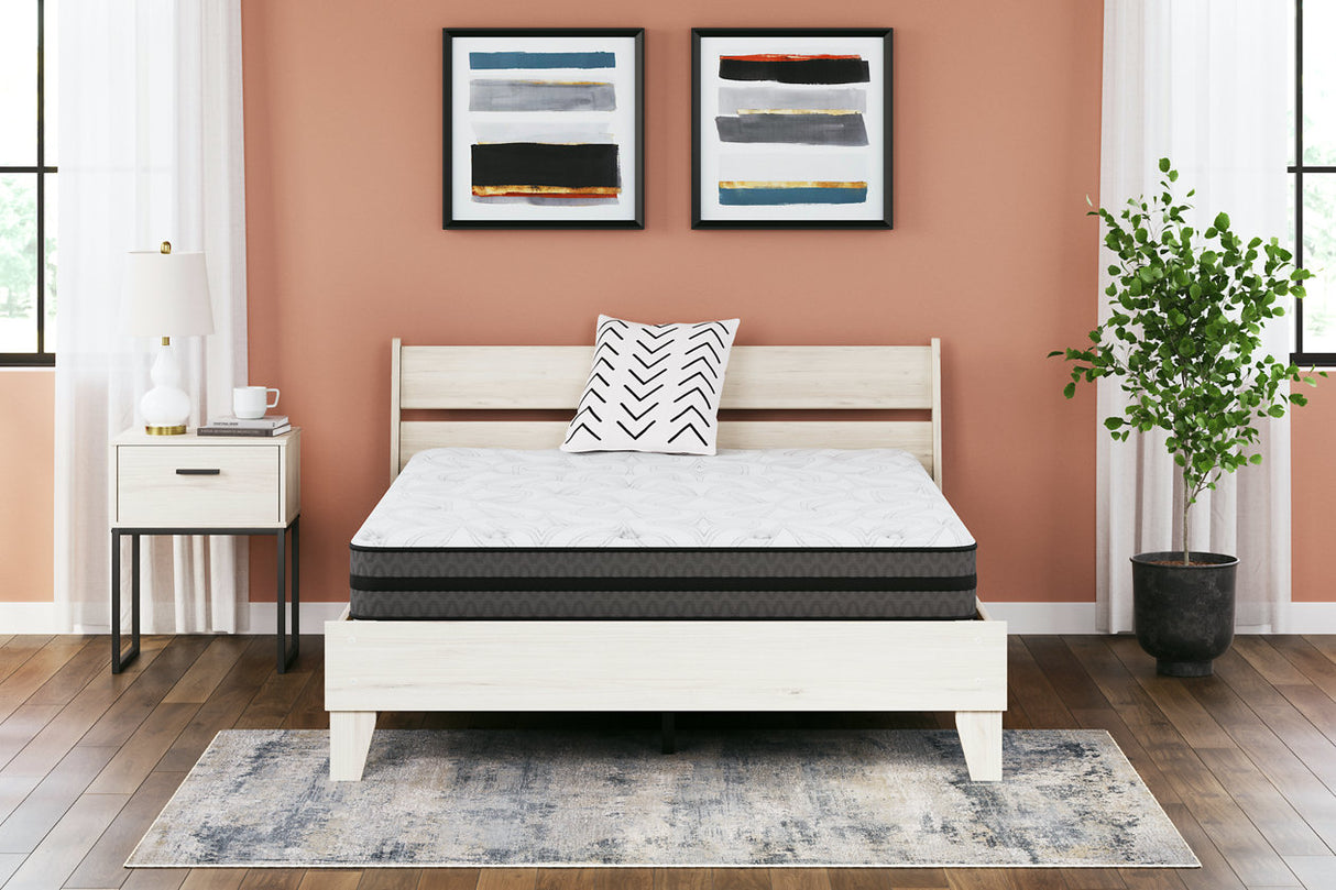 10 Inch Pocketed Hybrid White Queen Mattress from Ashley Furniture - Luna Furniture