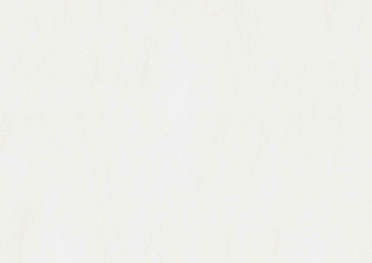 Lana White Queen Bed with LED Lighting from Homelegance - Luna Furniture