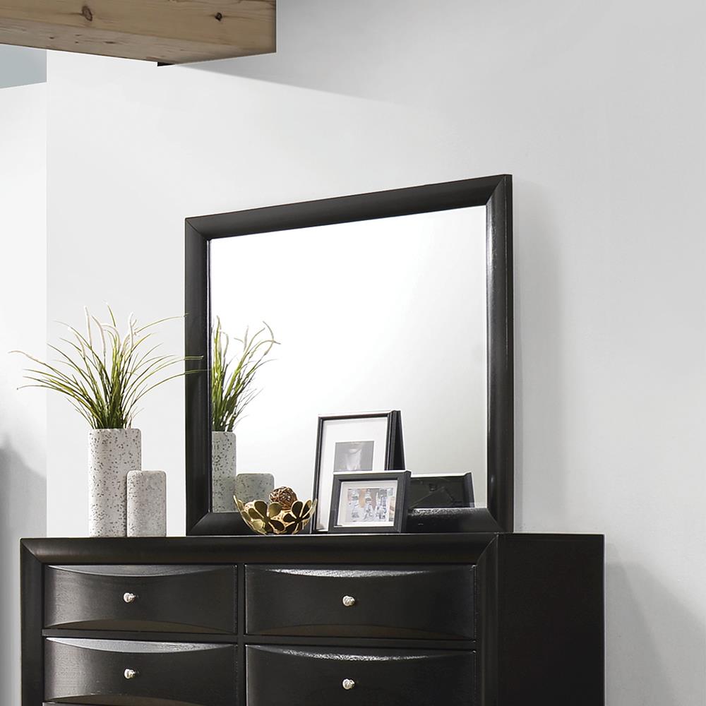 Briana Black Rectangle Dresser Mirror (Mirror Only) from Coaster - Luna Furniture