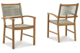 Janiyah Light Brown Outdoor Dining Arm Chair, Set of 2