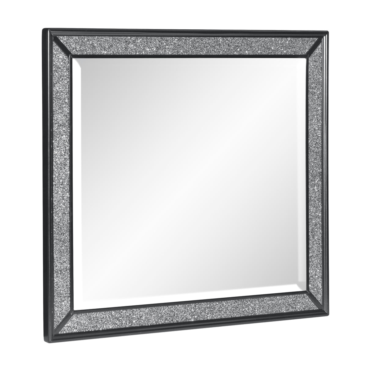 Salon Black Mirror (Mirror Only) from Homelegance - Luna Furniture