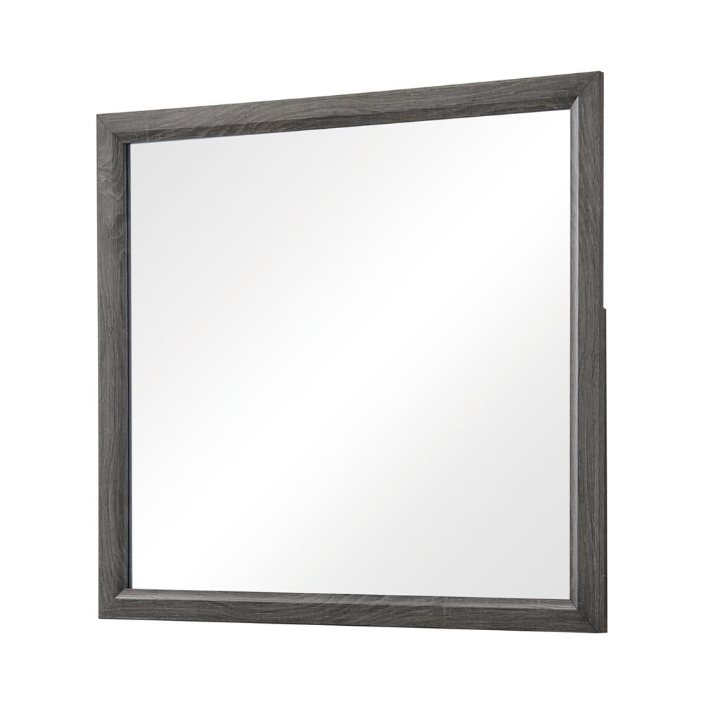 Watson Gray Oak Mirror (Mirror Only) from Coaster - Luna Furniture