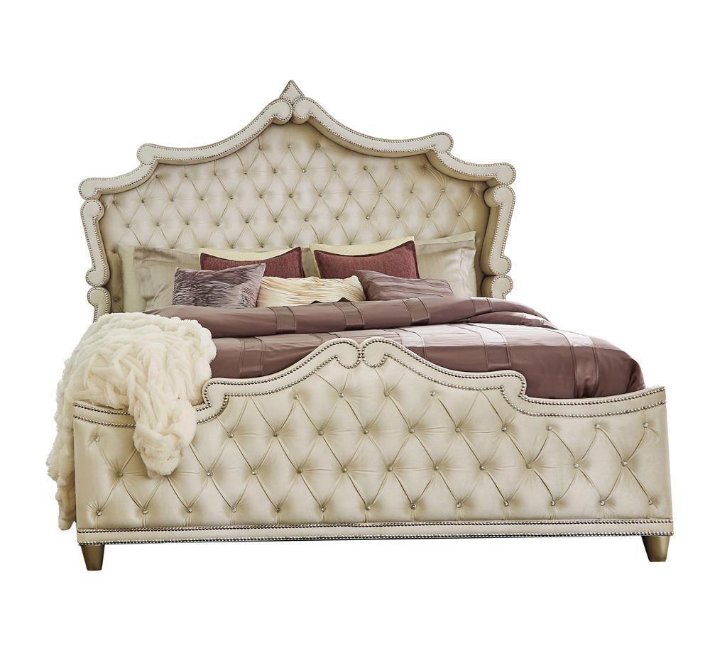 Antonella Ivory and Camel Tufted Upholstered California King Bed from Coaster - Luna Furniture