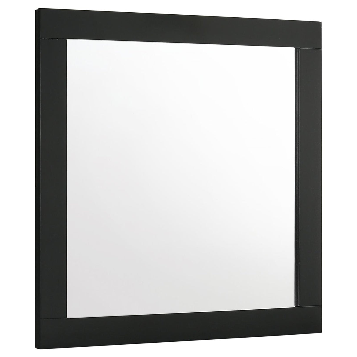 Caraway Black Dresser Mirror (Mirror Only) from Coaster - Luna Furniture