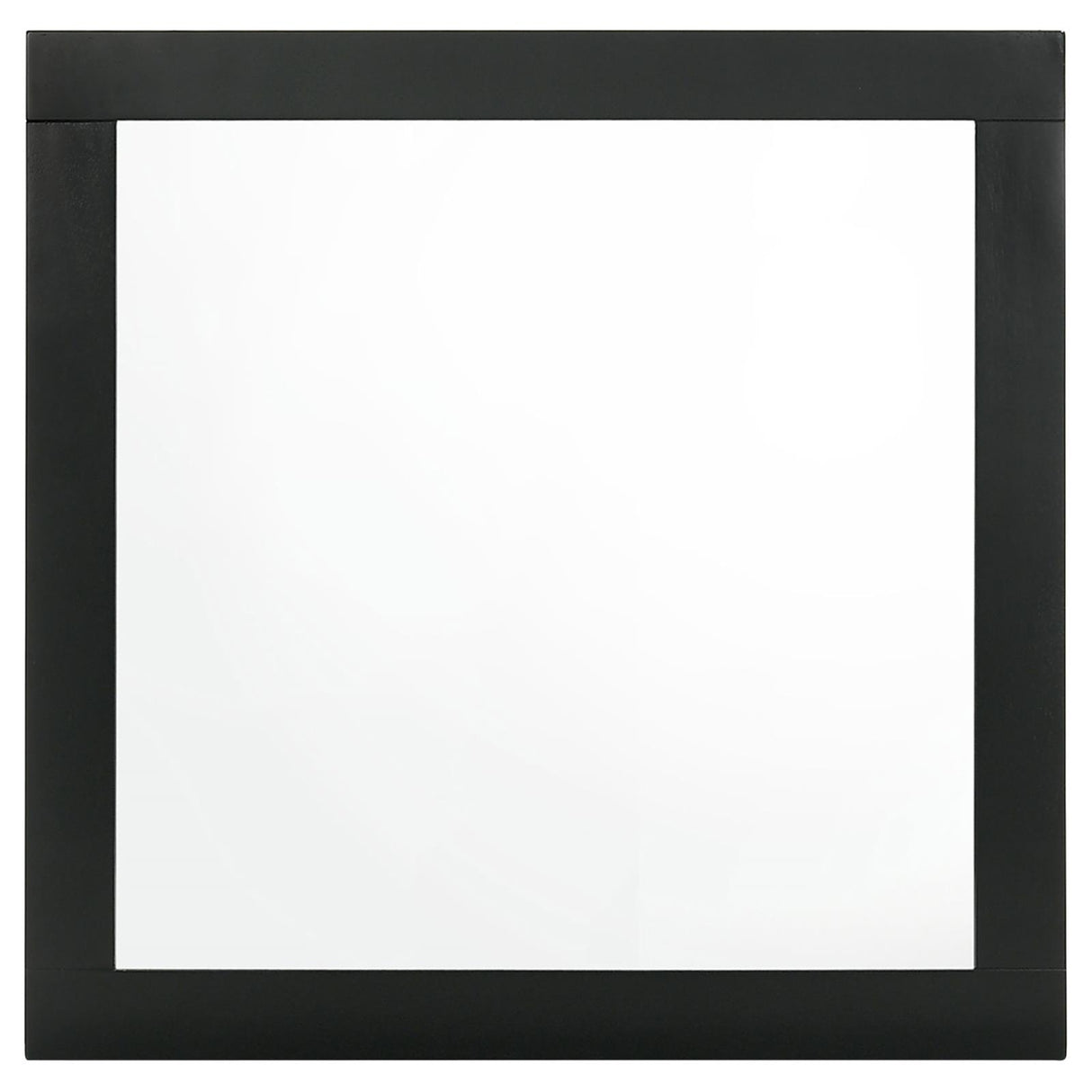 Caraway Black Dresser Mirror (Mirror Only) from Coaster - Luna Furniture