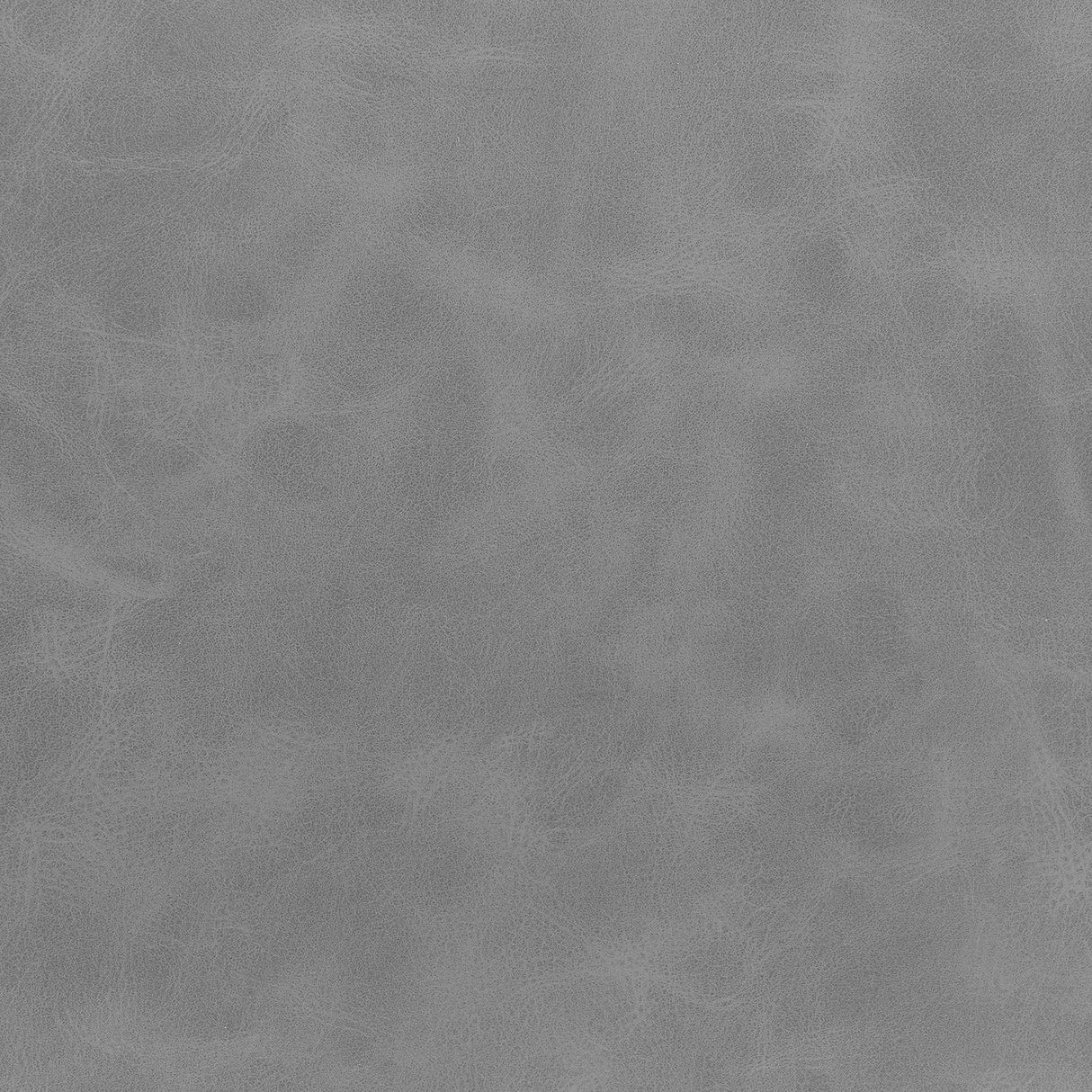 Earnest Gray and Black Solid Back Upholstered Counter Height Stools, Set of 2 from Coaster - Luna Furniture