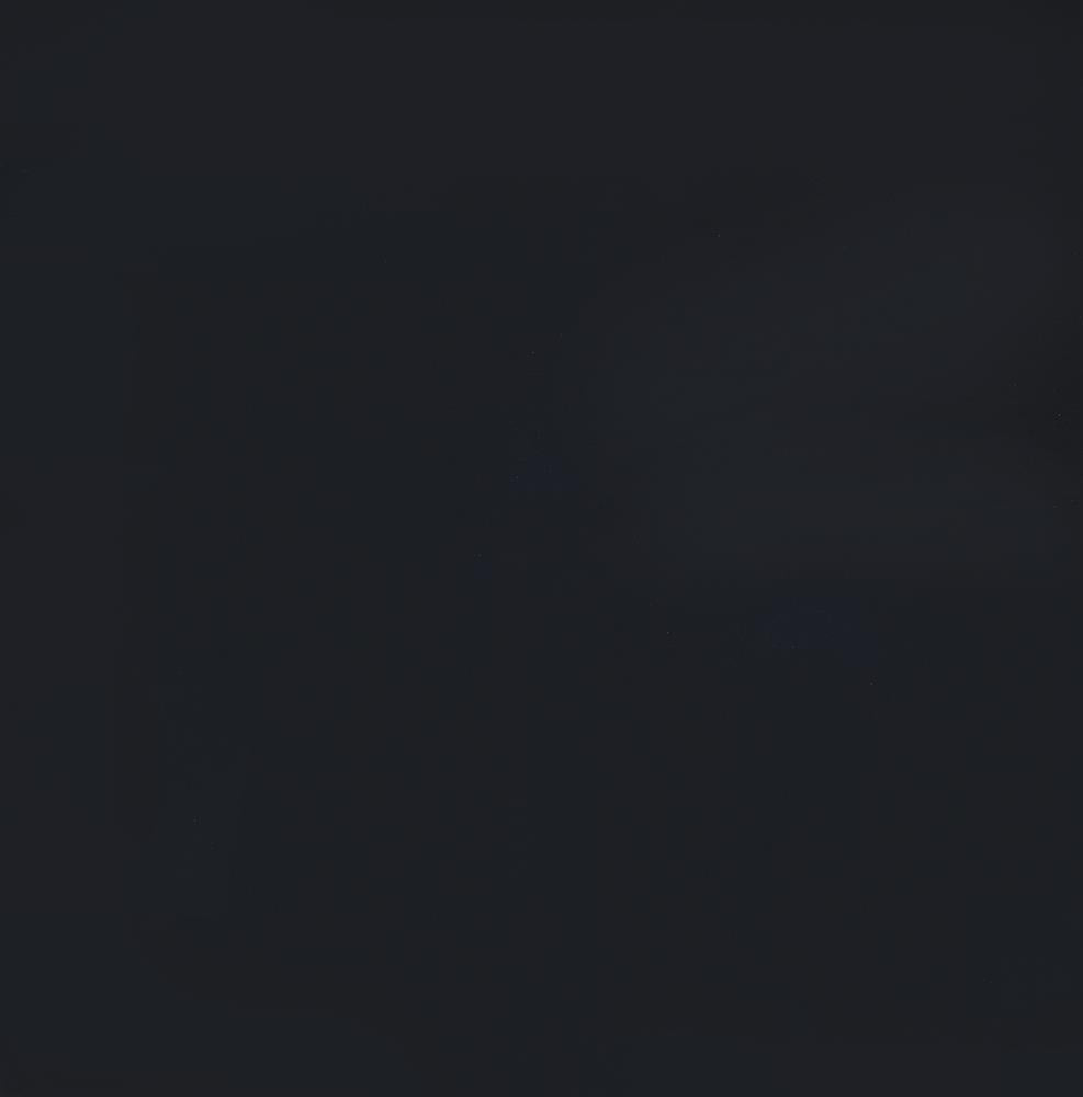 Haidera Black 4-Panel Damask Pattern Folding Screen from Coaster - Luna Furniture