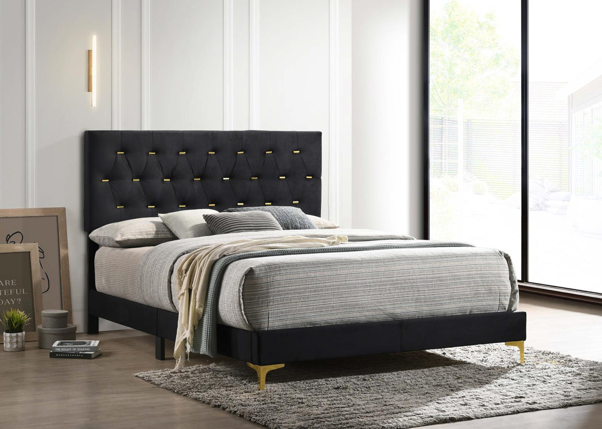 Kendall Black and Gold Tufted Panel California King Bed from Coaster - Luna Furniture