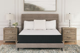 Limited Edition Plush White Full Mattress - M41121 - Luna Furniture