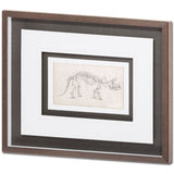 Custom Dinosaur Study II (MC) by Harper, Ethan a Framed Art Print Matted under Glass from Mercana - Luna Furniture