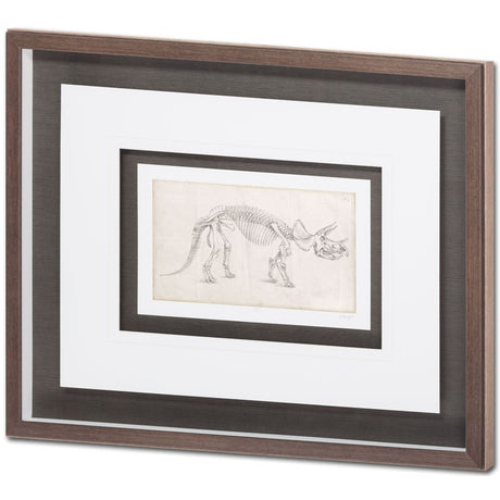 Custom Dinosaur Study II (MC) by Harper, Ethan a Framed Art Print Matted under Glass from Mercana - Luna Furniture